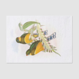 Papel De Seda Macklot's Trogon, Decoupage