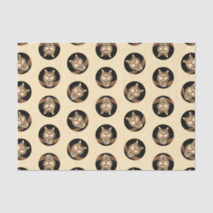 Papel De Seda Mad Tabby Cat Retrato Pintura Bestial Arte Origina