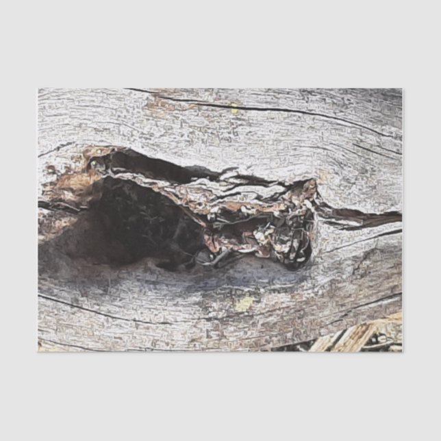 Papel De Seda madeira na natureza (Frente )