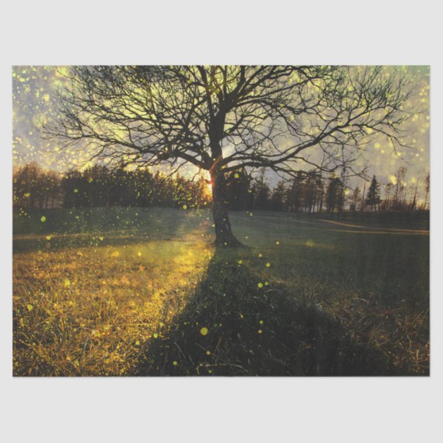 Papel De Seda Magical fireflies dreamy landscape (Frente )