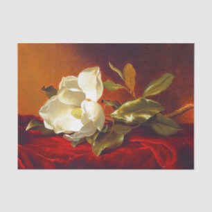 Papel De Seda Magnolia em Red Velvet Martin Johnson Heade
