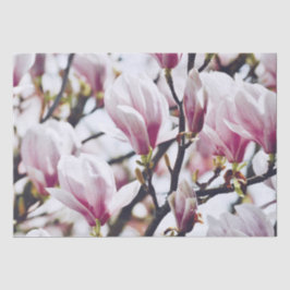 Papel De Seda Magnolia Floral Blossom Botânico Vintage Antiquado