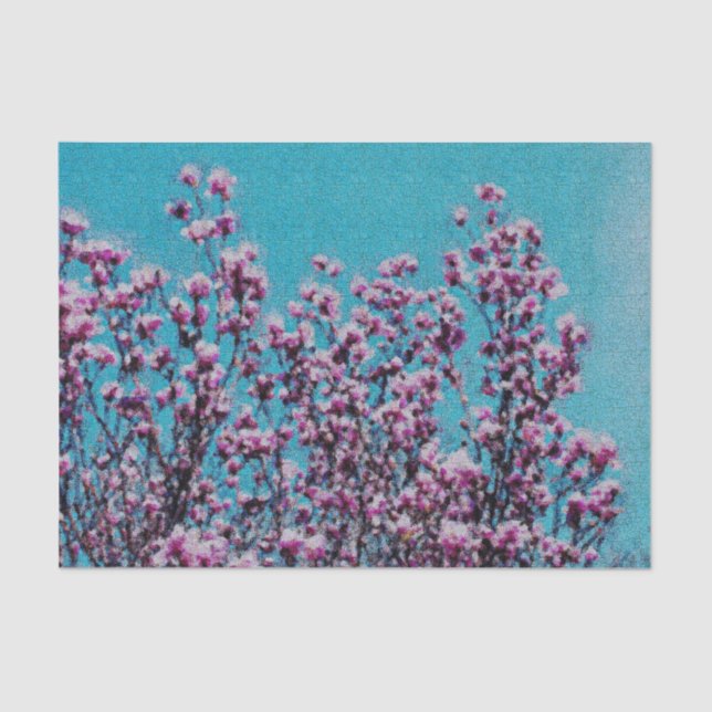 Papel De Seda Magnolia Rosa Blossomo Azul Página de Discussão (Frente )