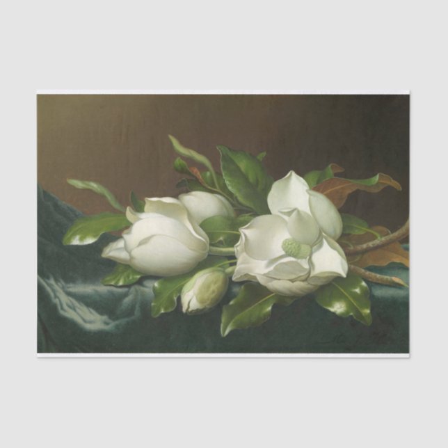 Papel De Seda Magnolias em Leve Blue Velvet Cloade por Heade (Frente )