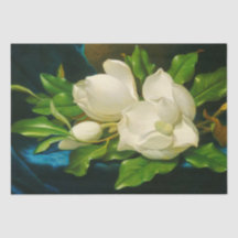 Magnolias gigantes em um pano veludo azul (Heade)