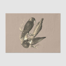 Papel De Seda Magpie e jack daw - sépia