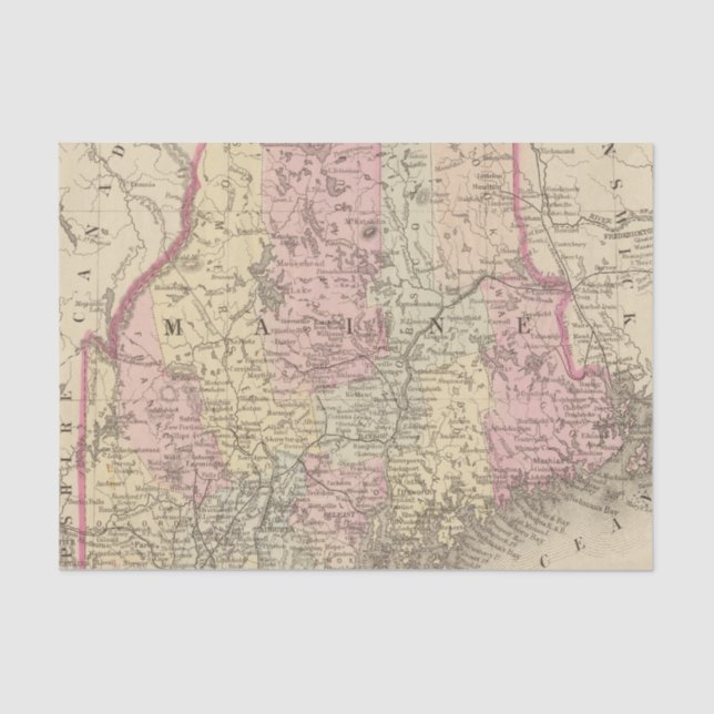 Papel De Seda Maine 3 (Frente )