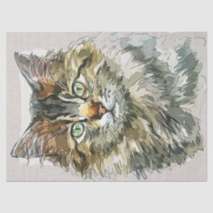 Papel De Seda Maine Coon Cat Breed Watercolor Sketch