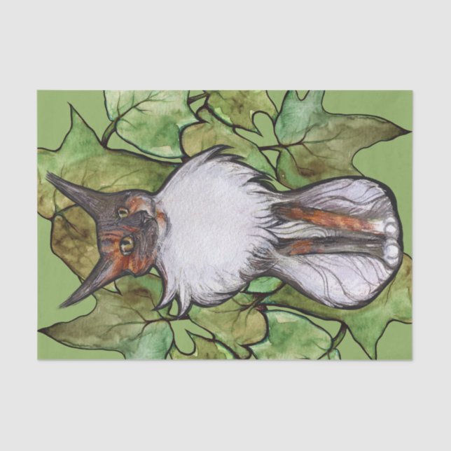 Papel De Seda Maine Coon Cat Ivy Dilute Calico (Frente )