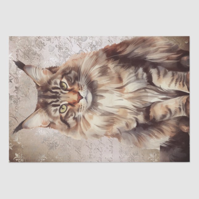 Papel De Seda Maine Coon Cat Watercolor (Frente )