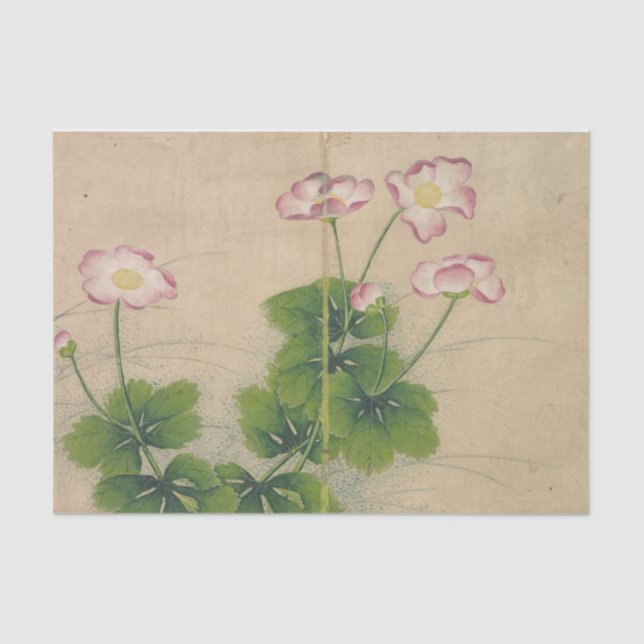 Papel De Seda Mallow Flowers de Zhang Ruoai (Frente )