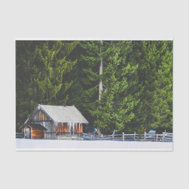 Papel De Seda Mamãe e Bebês Protegidos por Árvores Gigantes (Frente )