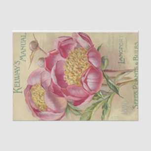 Papel De Seda Manual de Sementes da Vintage Seed Catalog Kelway