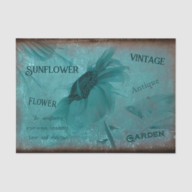 Papel De Seda Manuscrito Antiquado de Teto Azul Sunflower (Frente )
