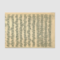 Manuscrito de Bach Chaconne para o violino de solo