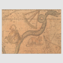 Papel De Seda Mapa antigo da Galáxia Design 3