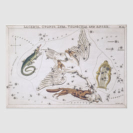 Papel De Seda Mapa Celeste Astronômico Antigo
