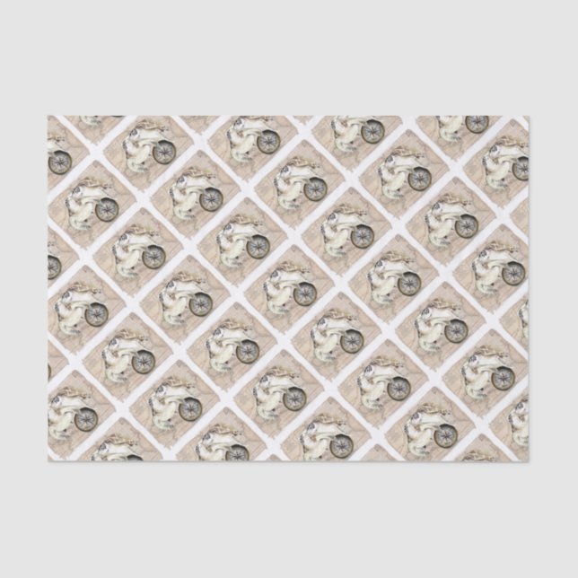 Papel De Seda Mapa de Bens do Mar (Frente )