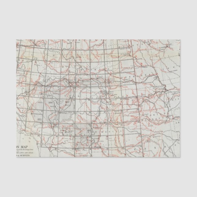 Papel De Seda Mapa de esqueleto (Frente )