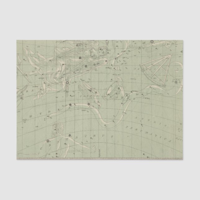 Papel De Seda Mapa de estrela (Frente )