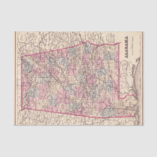 Papel De Seda Mapa Vintage dos condados do Alabama (1876)