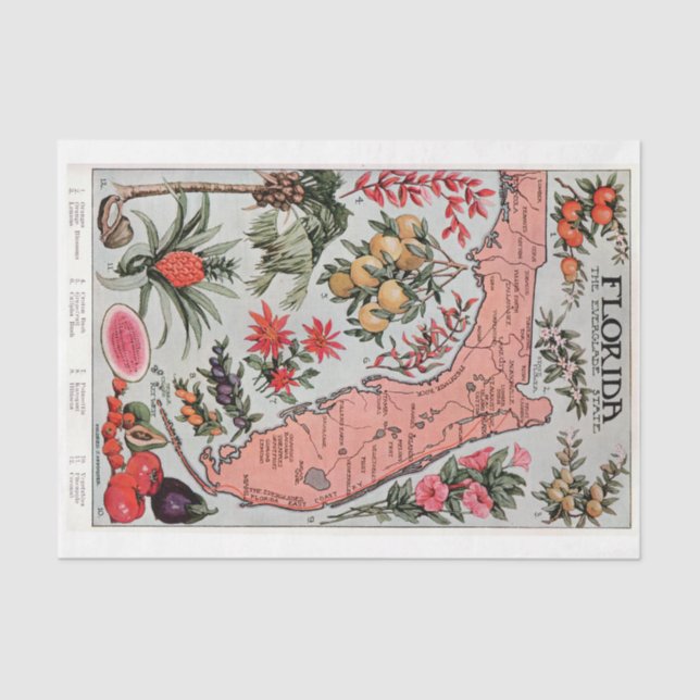Papel De Seda Mapa Vintage na Flórida (Frente )