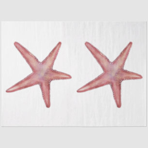 Papel De Seda Mar de Cores Aquáticas Submarinas Design 11