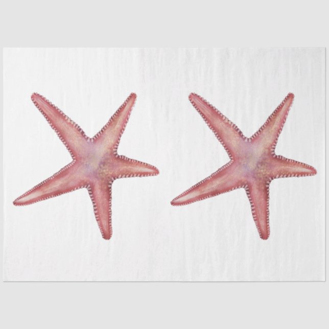 Papel De Seda Mar de Cores Aquáticas Submarinas Design 11 (Frente )