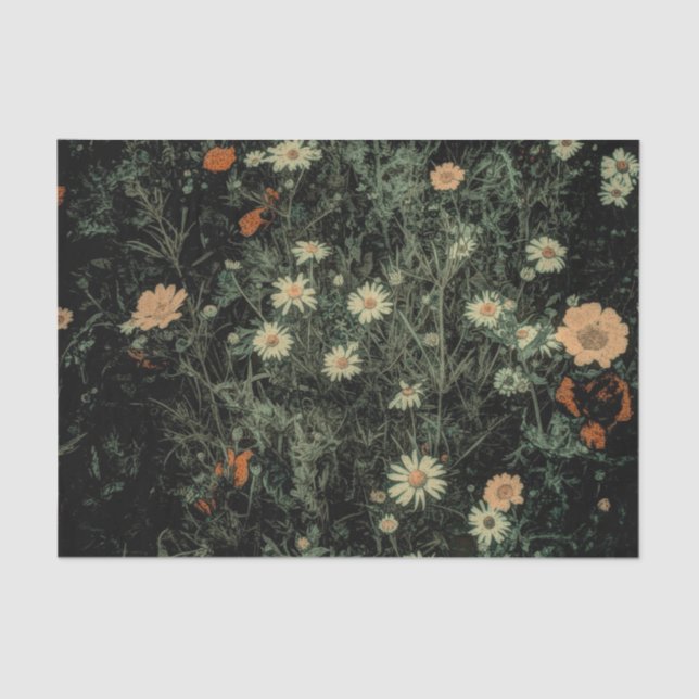 Papel De Seda margarida branca boêmica floral preto (Frente )