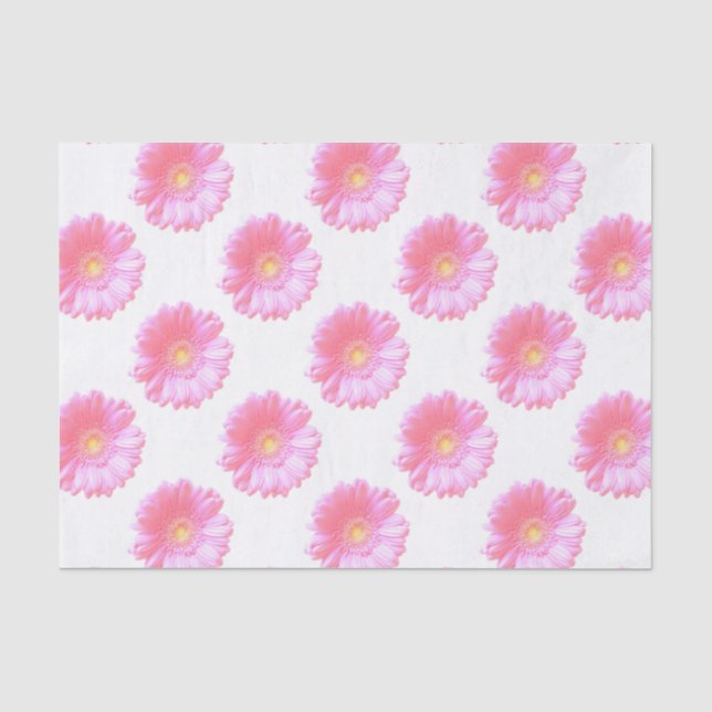 Papel De Seda margarida da rosa claro gerbera (Frente )