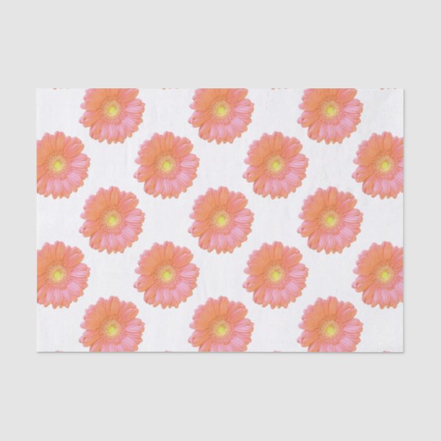 Papel De Seda Margarida de gerbera laranja (Frente )