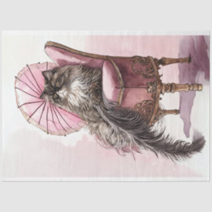 Papel De Seda Margarida Francesa, a Desnutação do Gato