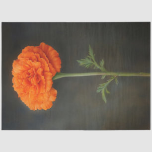 Papel De Seda Marigold Botanical Painting Decoupage