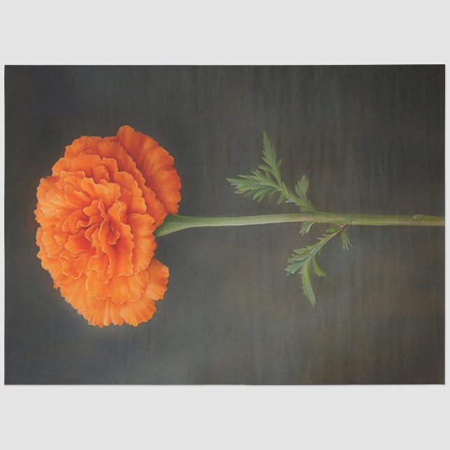 Papel De Seda Marigold Botanical Painting Decoupage (Frente )