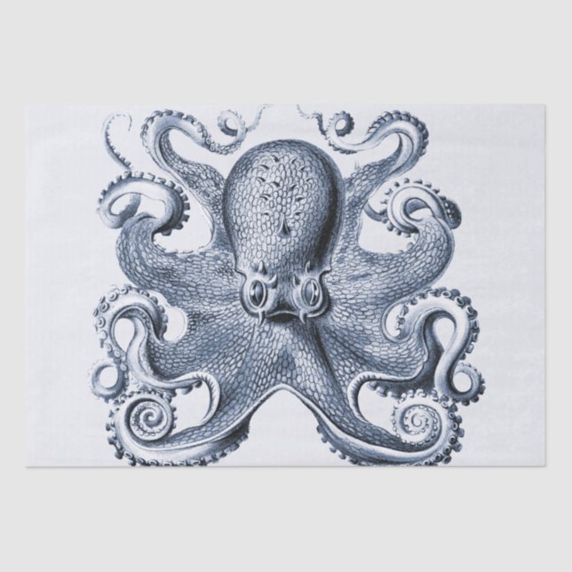 Papel De Seda Marinho Blue Octopus ilustrado por Ernst Haeckel (Frente )