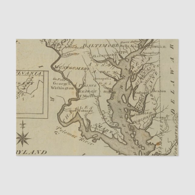 Papel De Seda Maryland 5 (Frente )
