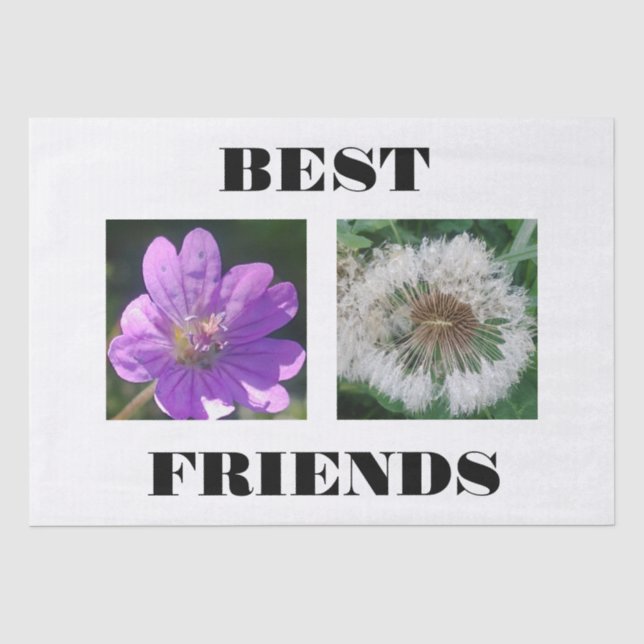 Papel De Seda Melhor Modelo de Imagem de Amigos (Frente )
