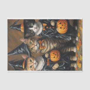 Papel De Seda Meow-loween: Dissociação de Gatos com Truques ou T