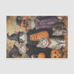 Papel De Seda Meow-loween: Dissociação de Gatos com Truques ou T
