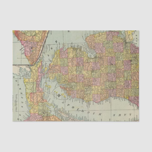 Papel De Seda Michigan 3 (Frente )