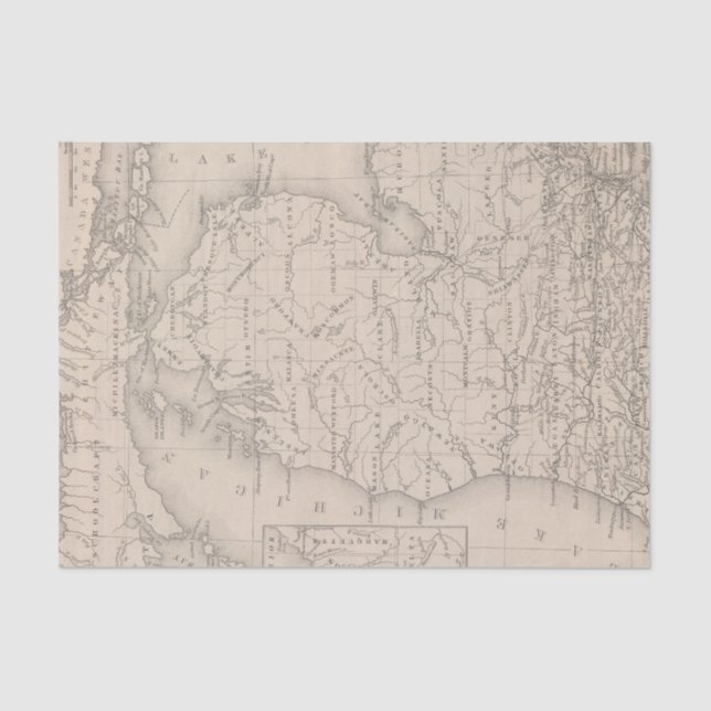 Papel De Seda Michigan 9 (Frente )