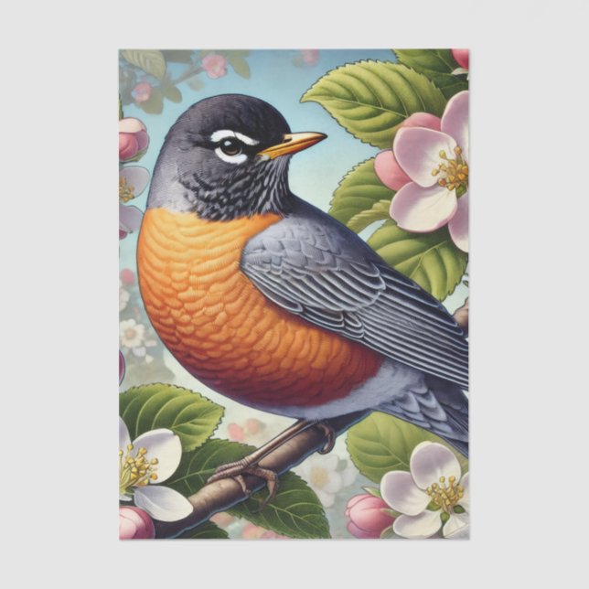 Papel De Seda Michigan State Bird American Robin (Frente )