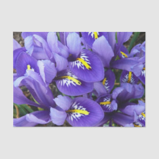 Papel De Seda Miniatura Azul Levanta Primavera Floral