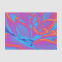 Mistério de sucesso