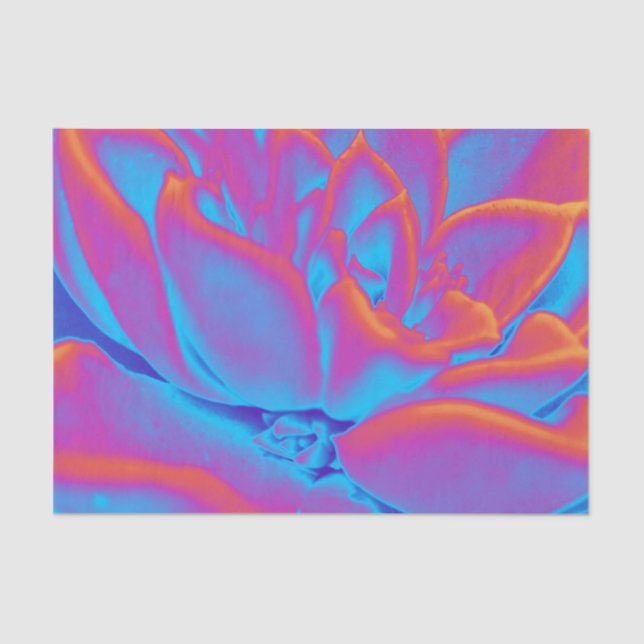 Papel De Seda Mistério de sucesso (Frente )