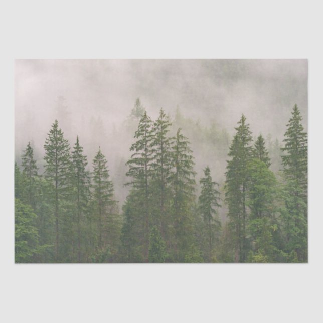 Papel De Seda Misty Foggy Forest Trees (Frente )