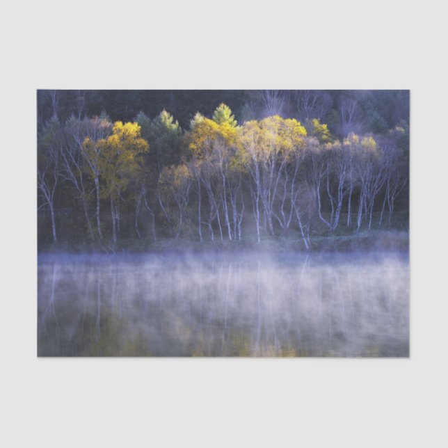 Papel De Seda Misty Morning Lake (Frente )