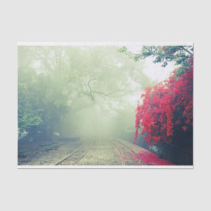 Papel De Seda Misty Railroad Tracks Foto Cênica
