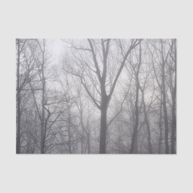Papel De Seda Misty Trees Cinza Woodland (Frente )