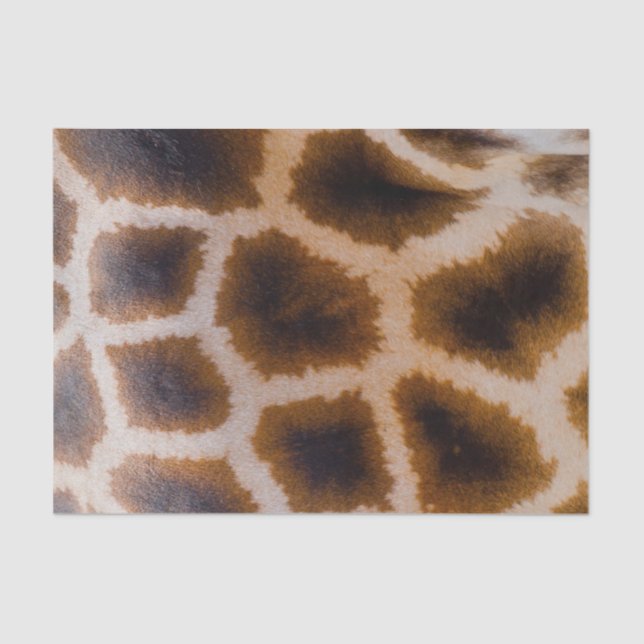 Papel De Seda Modelo manchado remendos da textura da pele do (Frente )